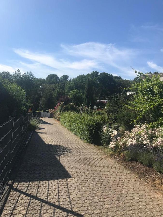Ferienwohnung Bei Annemarie Trier Exterior foto
