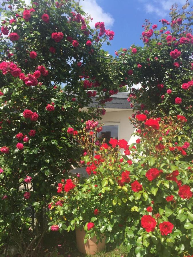 Ferienwohnung Bei Annemarie Trier Exterior foto
